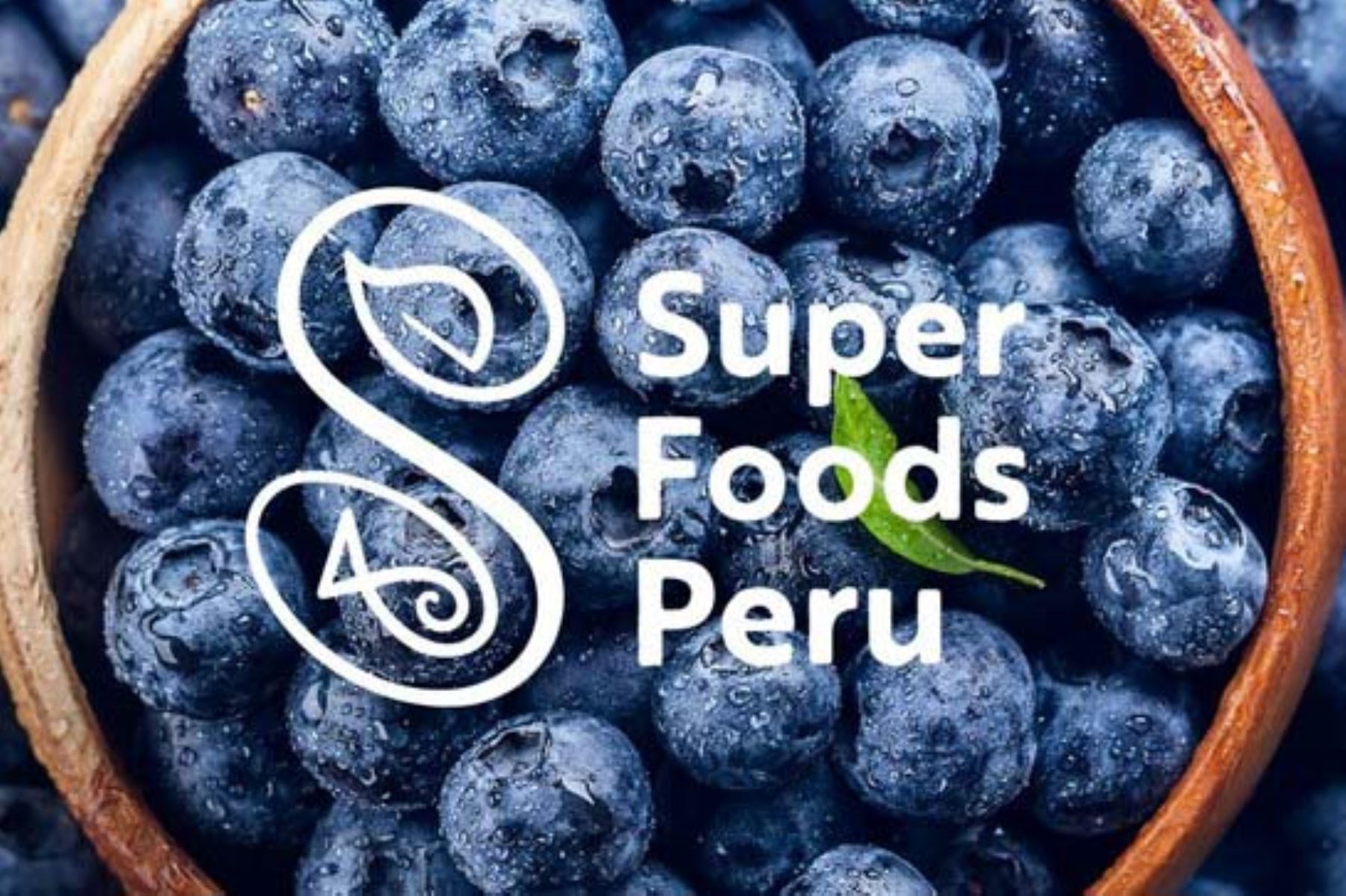 Organización Mundial de la Propiedad Intelectual reconoce marcas sectoriales del Perú